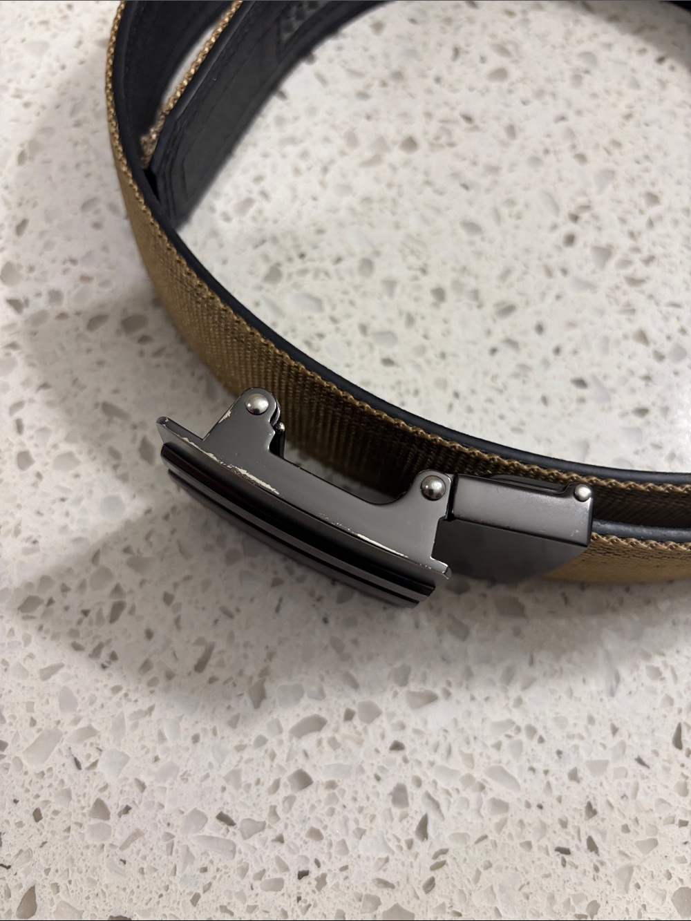 Tan Canvas Belt with Polished Gunmetal Buckle - Picture 2 of 6